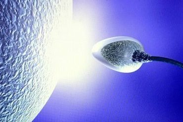 Dr.Vanlıoğlu,Kadın Sağlığı,T&uuml;p Bebek,Endoskopik Cerrahi,Genital Estetik